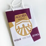 Пакет из бумаги 250х350х100 мм