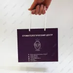 Пакетик 230х190х80 мм